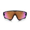 Picture of Oakley Jawbreaker Protection Glasses